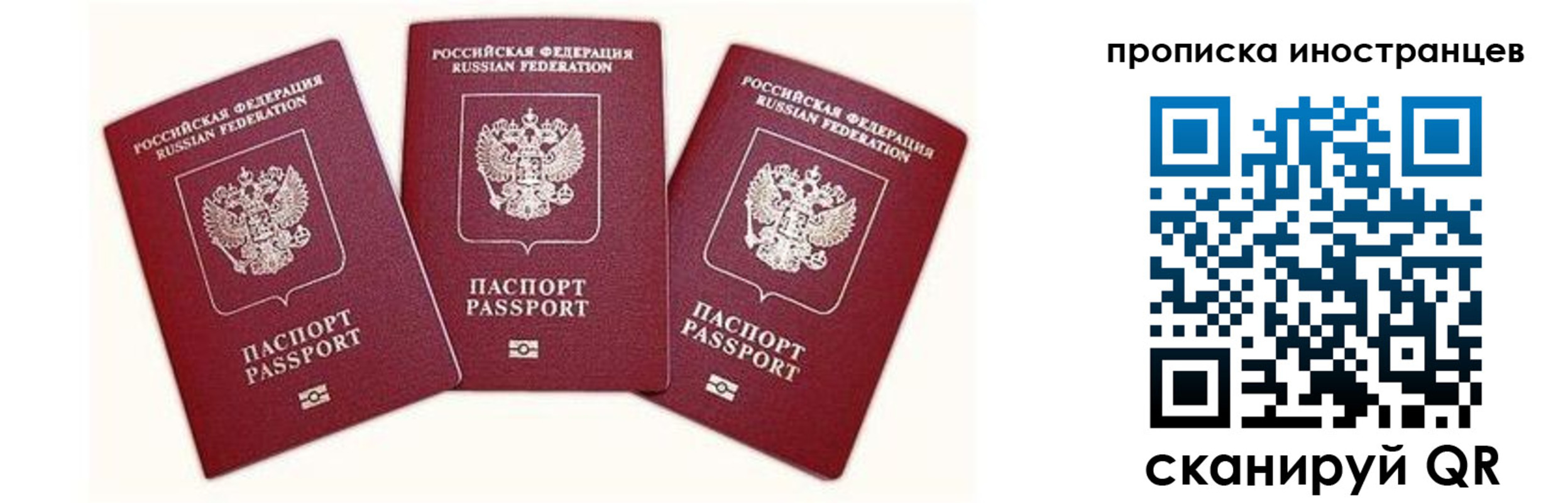 прописка в Десногорске